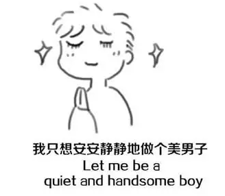 handsomeboy翻译中文