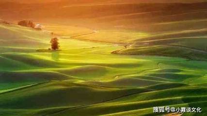 人到中年经典句子
