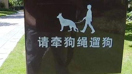 山东大舜司法鉴定所