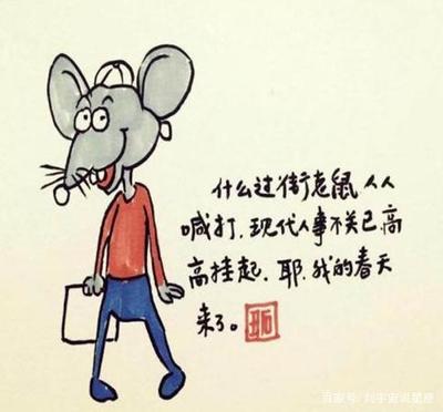 脾打一生肖