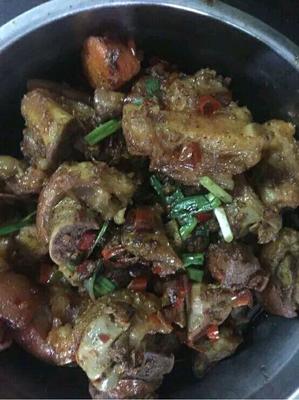 怀孕了能吃兔子肉吗