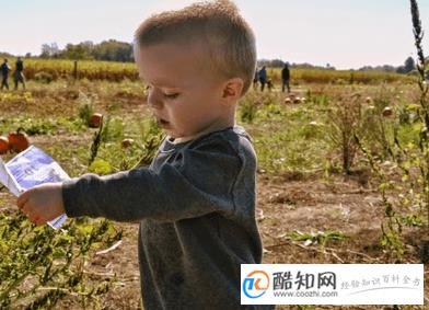 带靖字的高分男孩名字