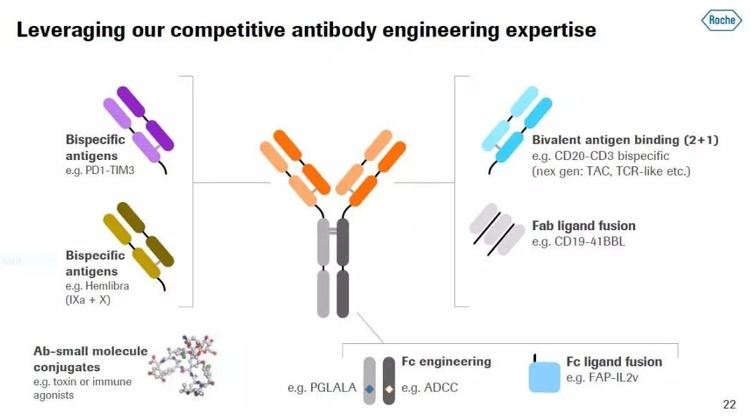 艾伯維(ABBV.US)潛在重磅雙特異性抗體療法再獲歐盟批準(zhǔn)