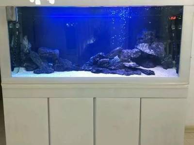 吉林市豐滿區(qū)鑫源水族觀賞魚(yú)店（吉林市豐滿區(qū)鑫源水族觀賞魚(yú)店電話）