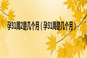 31周是几个月了