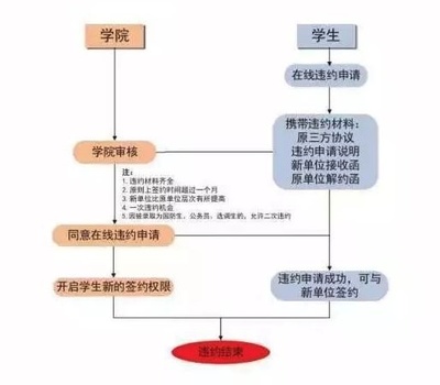 证据形式