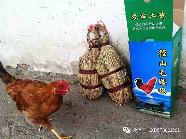 毛腌鸡的制作方法