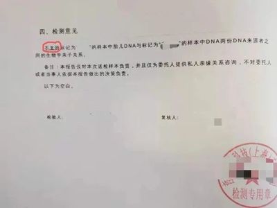 亲子鉴定结果样本