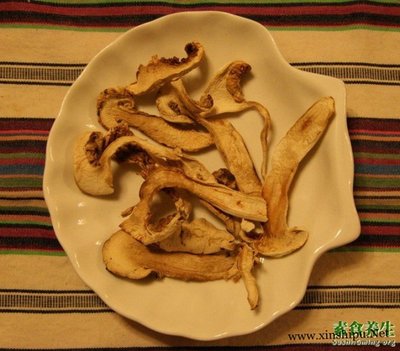 干的松茸怎么吃法