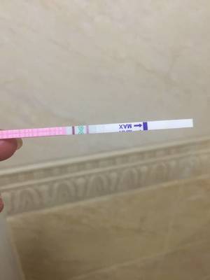 刚怀孕流血