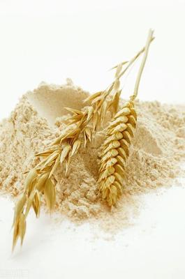 小麦胚芽能减肥吗