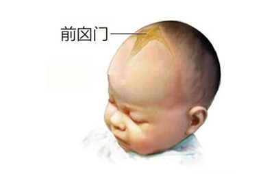宝宝卤门在什么位置