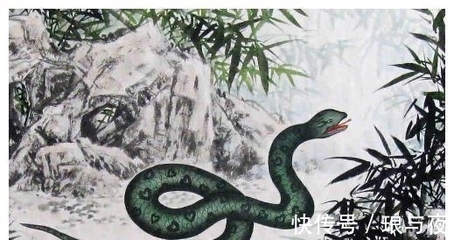 男龙女蛇婚姻是否相配