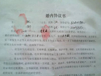 婚后出轨协议书