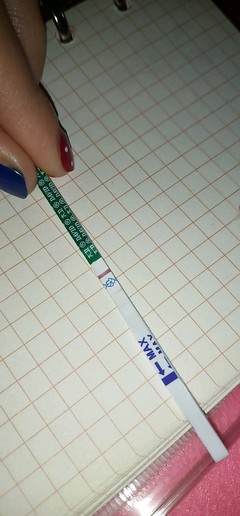 人流后排卵期