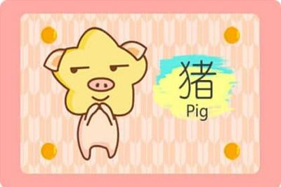 属猪的交运时间
