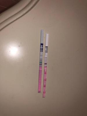测怀孕试纸多久能测出