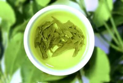 减肥乌龙茶