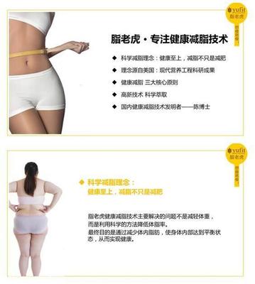 减肥 原理