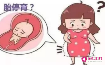 怀孕死胎的症状是什么