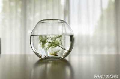 房间里放盆水