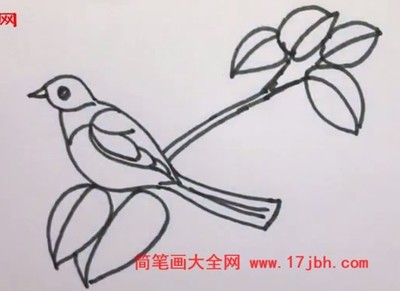 天上飞的小鸟简笔画