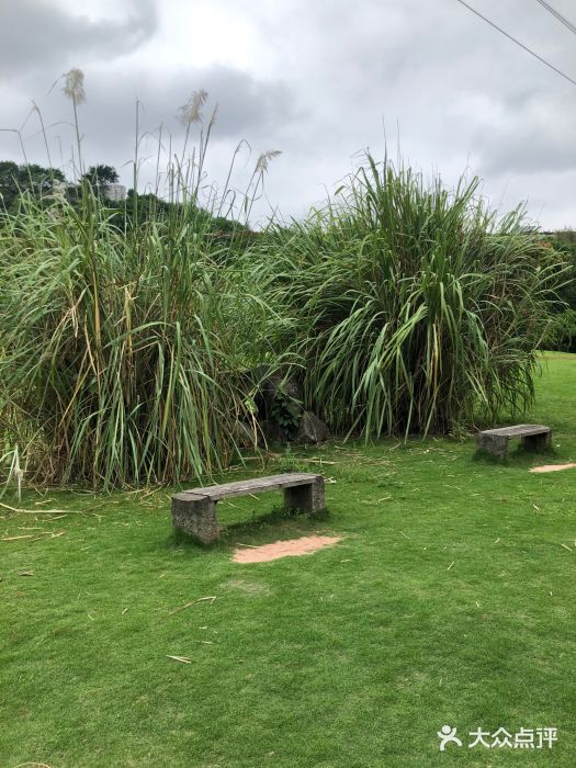 大竹林公园