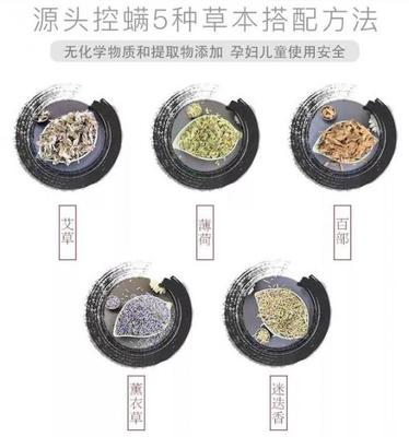 太阳穴痘痘成了包