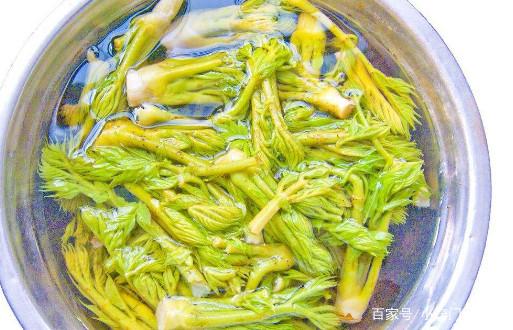 树菜孕妇可以吃吗