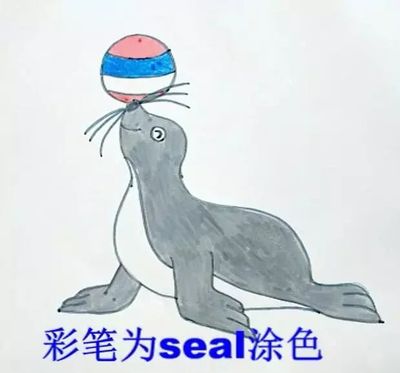 海狮用英语怎么说