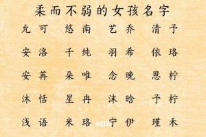 带木字旁的女孩名字大全