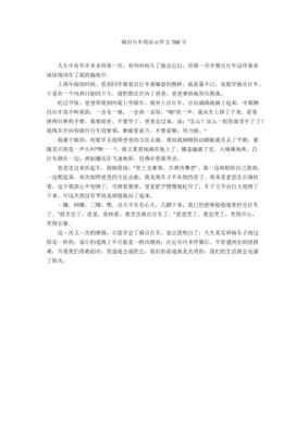 自行车的启示作文300字作文怎么写