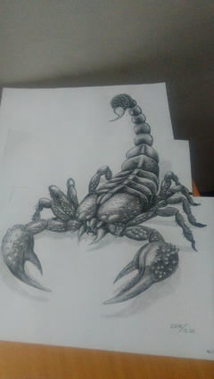 三维立体画 蝎子图片
