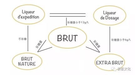 extra怎么读音