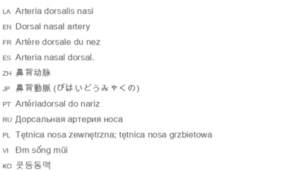 dorsalis音标