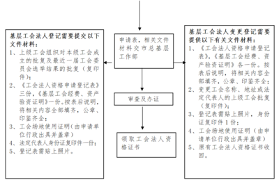 办理法人证需要什么资料
