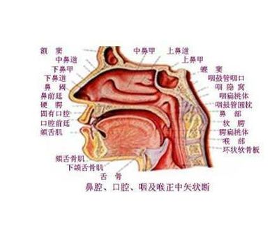 咽炎有白痰怎么治疗