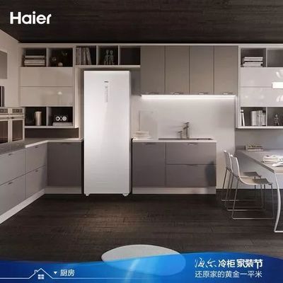 家装厨房冰柜