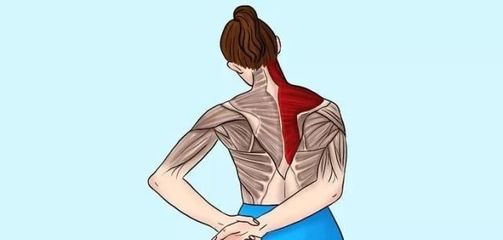 脖子一侧疼是怎么回事