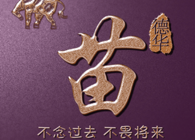 苗起名字大全女孩