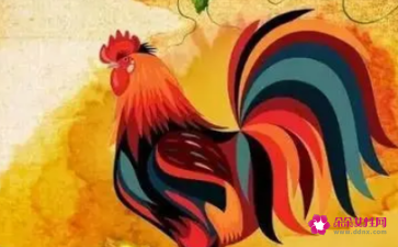 属鸡和属猪的合财吗