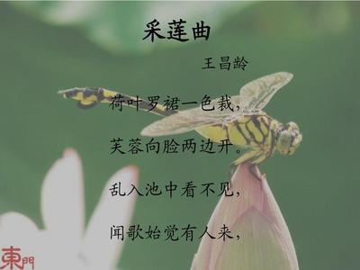 采莲曲的芙蓉是指