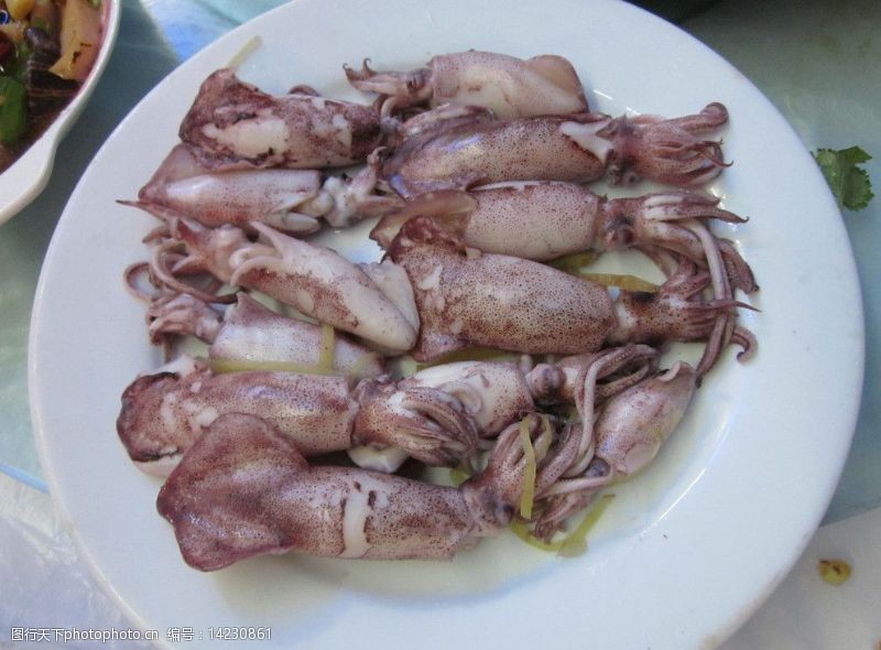 清蒸鱿鱼仔做法大全家常