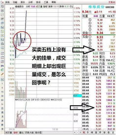 股票单个大单出现什么意思