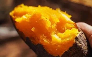 九个月宝宝吃红薯好吗