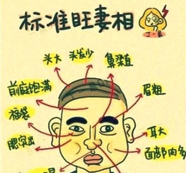 头大面相