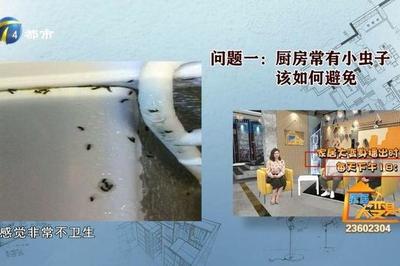 厨房有小虫怎么办
