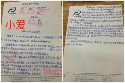 小爱请一怎么写100字左右的作文