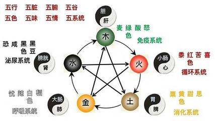 五行易经