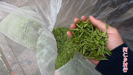 哪里收购茶叶